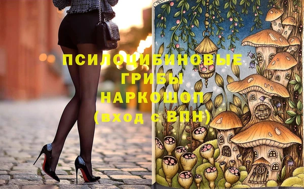 ECSTASY Алексин