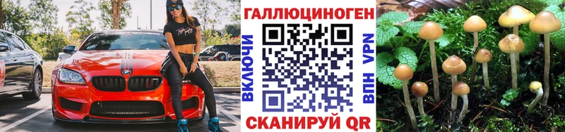 Псилоцибиновые грибы мухоморы наркота Тосно