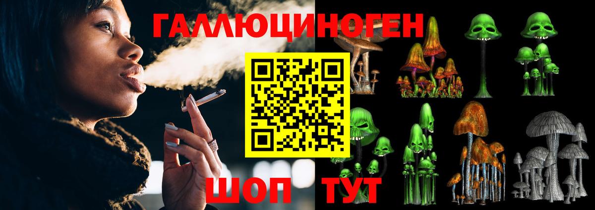 Псилоцибиновые грибы прущие грибы  наркотики  Тосно  Вход с VPN 
